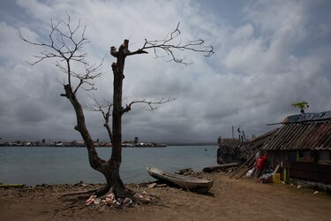 Aumenta el costo para mitigar el cambio climático