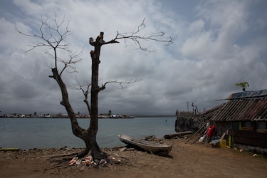 Aumenta el costo para mitigar el cambio climático