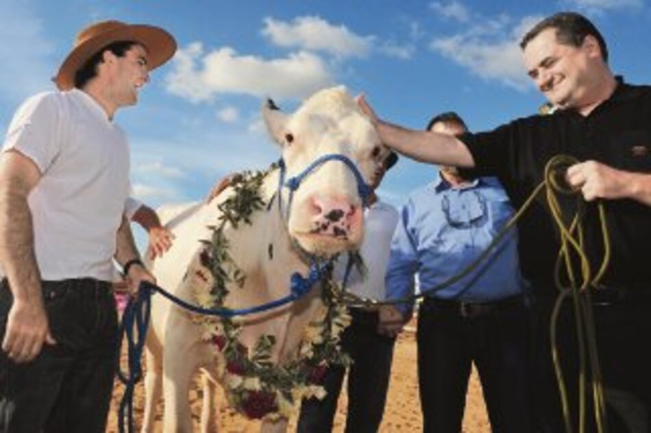‘Tengo una vaca lechera, no es una vaca cualquiera...’