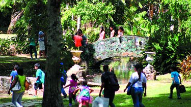 Refrendan proyecto para el Summit