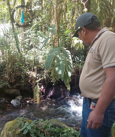 Tapir muerto en el parque Volcán Barú: sospechan caza furtiva