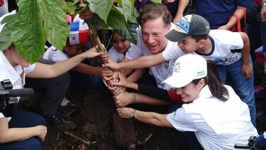 Miles de voluntarios participan en jornada de reforestación nacional