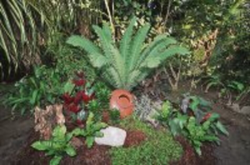 Las tinajas, toque especial