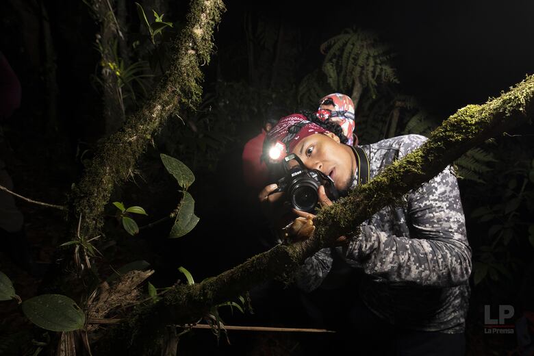 Cerro Chucantí, una joya ecológica entre las provincias de Darién y Panamá