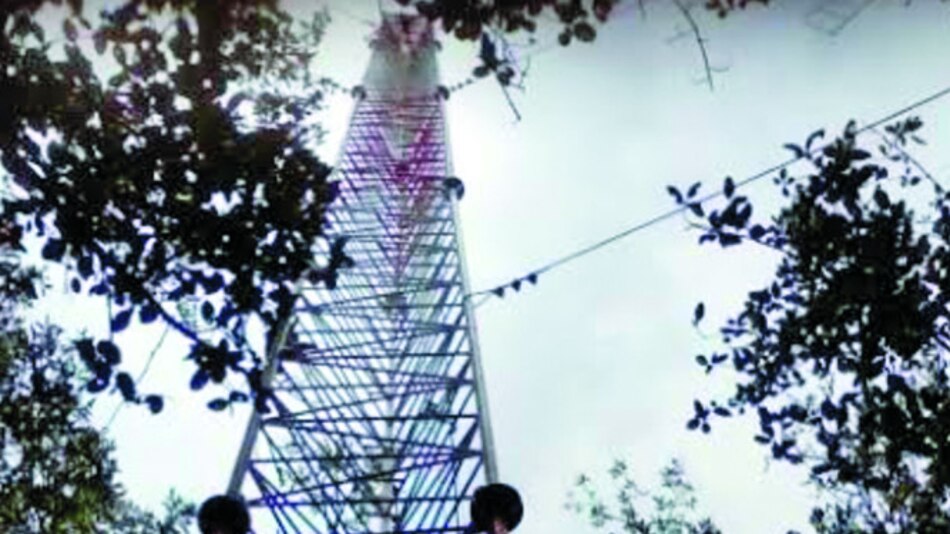 Torre evaluará carbono