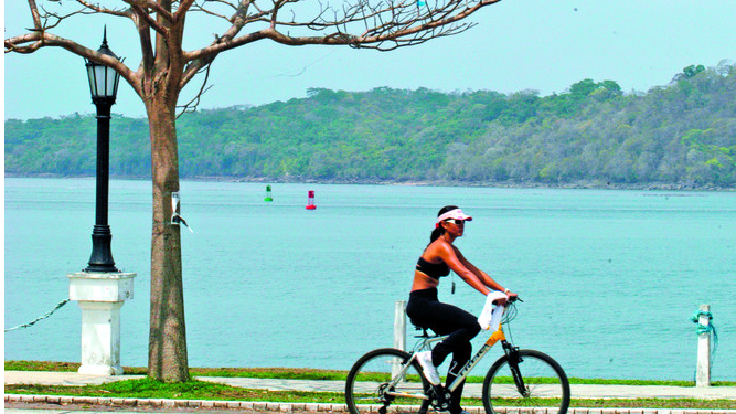 Conductores por el ambiente