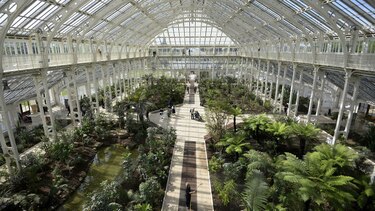 Reabre un invernadero gigante en Londres con las plantas más raras del mundo