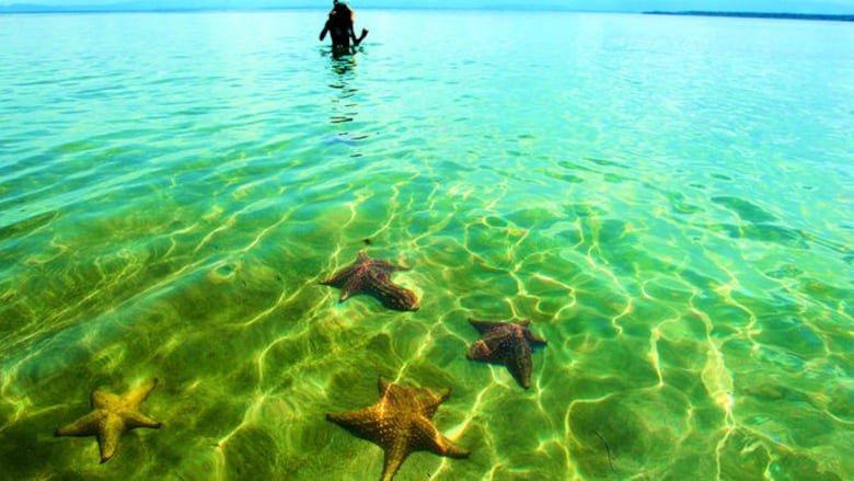 De turistas por Panamá