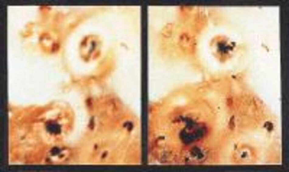 Sonda espacial Galileo sobrevuela luna de Júpiter