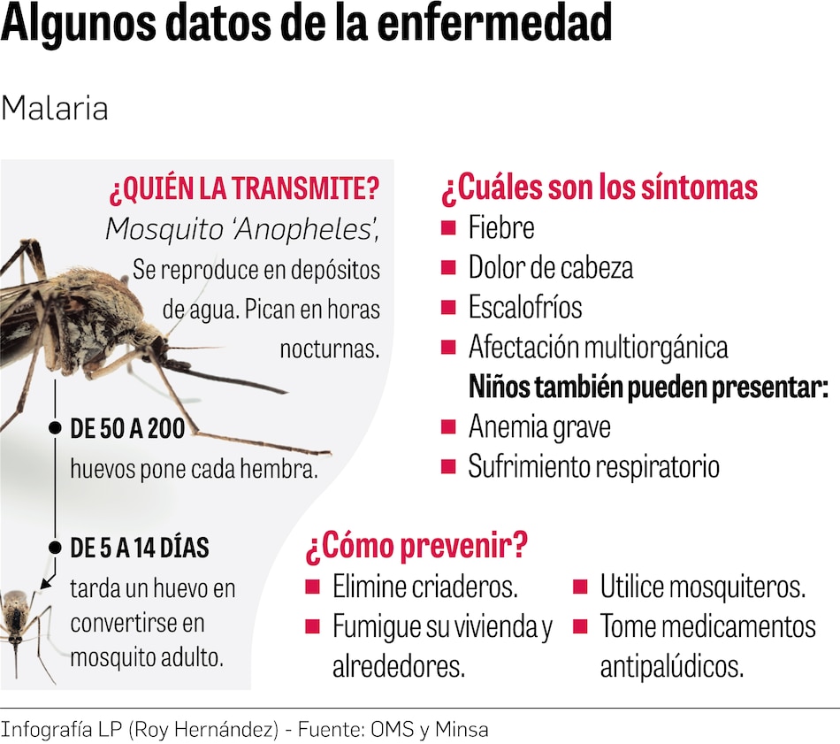 Lípidos aumentan longevidad del parásito de la malaria: Gorgas
