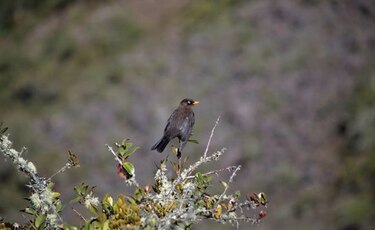 Diálogo por la biodiversidad