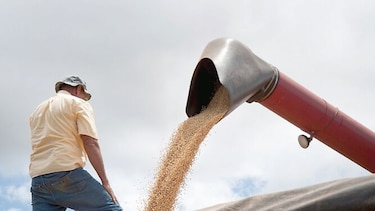 Granos amenazados por guerra comercial