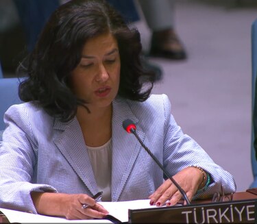 En vivo: Continúa el debate sobre la seguridad marítima, liderado por Panamá en el Consejo de Seguridad de la ONU