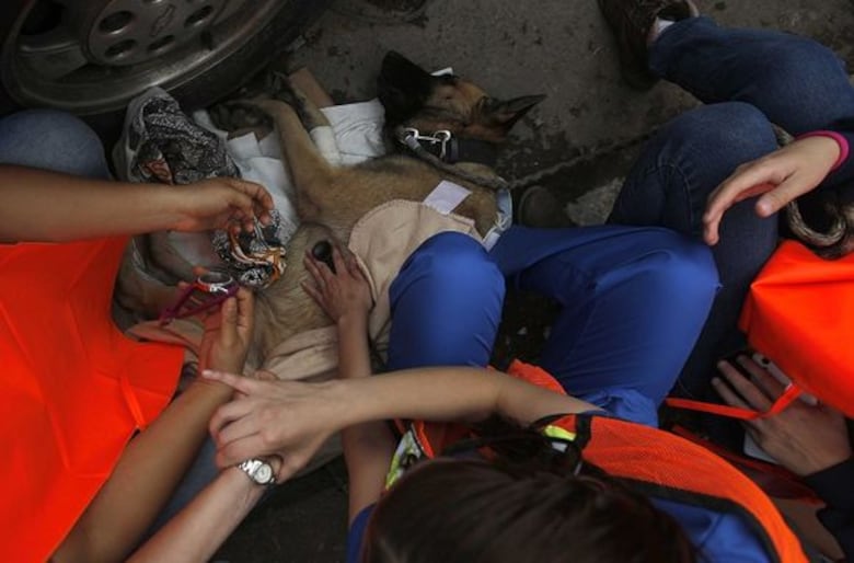 Crece desesperación por desaparecidos tras sismo en México