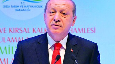 Erdogan informa de una posible visita de Putin a Turquía en abril