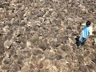 Confirman aumento de desastres relacionados con el clima