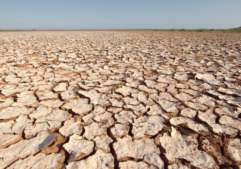 Pocas lluvias y altas temperaturas, preámbulo a un posible fenómeno de El Niño