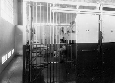 Gamboa Road Gang: La novela que liberó a un hombre de la cárcel
