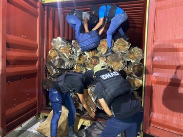 En menos de 24 horas la Policía decomisa cerca de dos toneladas de droga