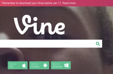 Elon Musk trabaja en el regreso de Vine, con capacidades de IA integradas
