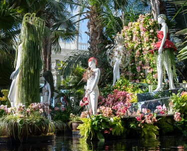 Cuatro mil orquídeas marcan tendencia en el Jardín Botánico de Nueva York