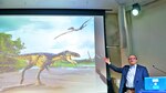 Hallazgo sobre el Tiranosaurios Rex