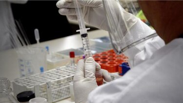 Investigadores franceses logran obtener esperma de hombres estériles in vitro