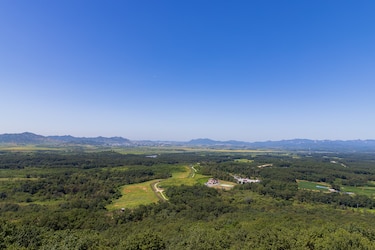 Un día en la Zona Desmilitarizada de Corea del Sur, una de las fronteras más peligrosas del mundo