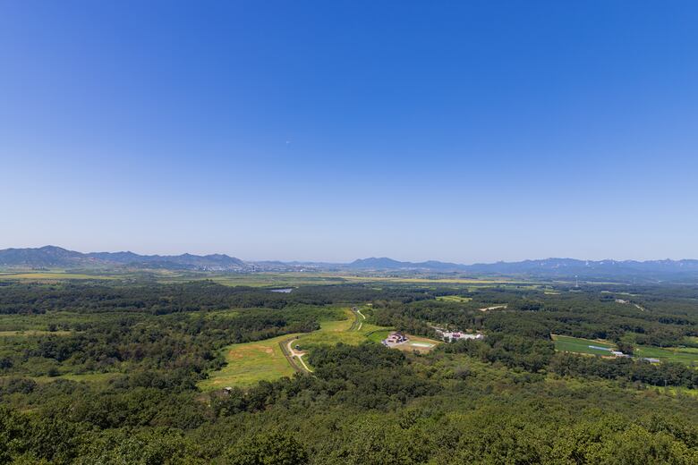 Un día en la Zona Desmilitarizada de Corea del Sur, una de las fronteras más peligrosas del mundo