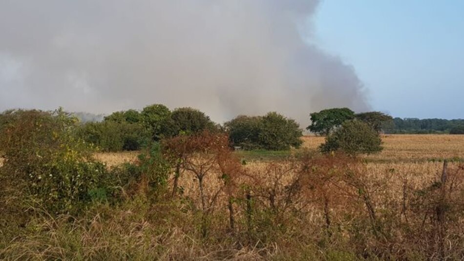 Alcaldía de Las Tablas ordena cierre temporal del vertedero tras incendio