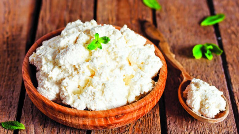 El queso como aliado nutricional