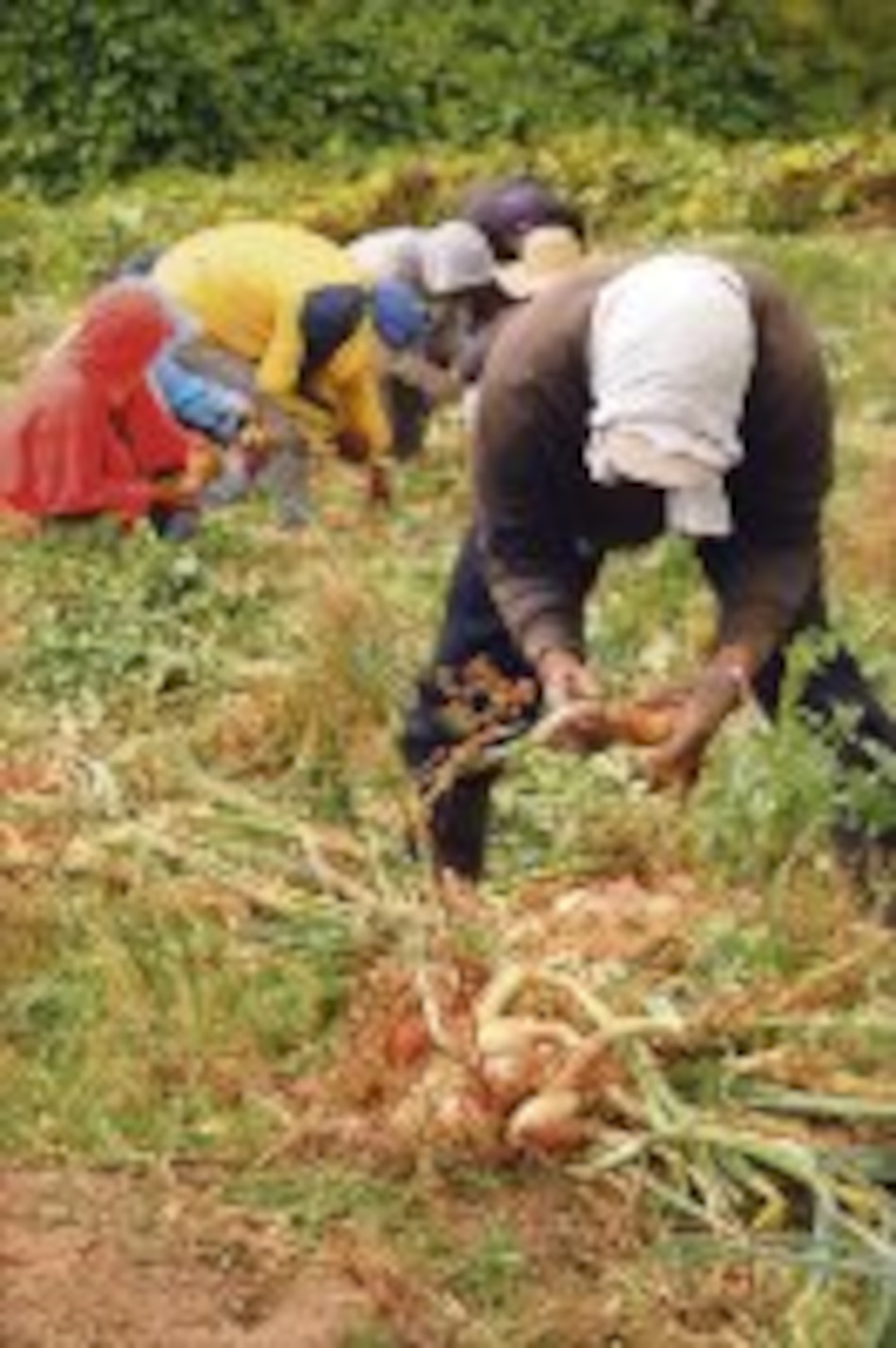 Negocio de suministro de barcos aún está en pañales
