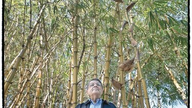Sergio Ramírez, presidente de Centroamérica Cuenta 2019
