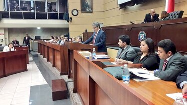 La accidentada comparecencia del defensor del pueblo en el pleno legislativo