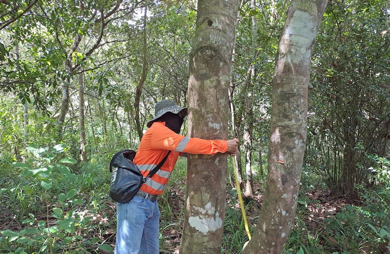 Tren Panamá–David: inicia el estudio de impacto ambiental de su primera fase