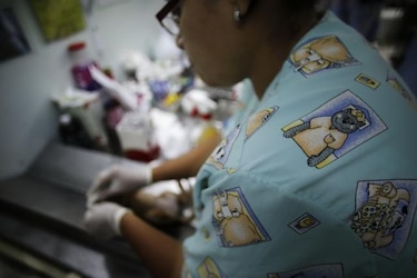 Informe revela deplorables condiciones de higiene en esterilizaciones en India