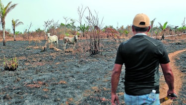 Autoridades, alerta por incendios forestales