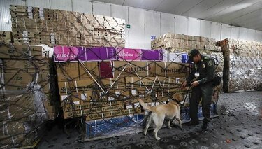 En San Valentín, Colombia blinda sus flores del narcotráfico