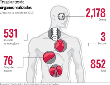 La donación de órganos, una apuesta por la vida