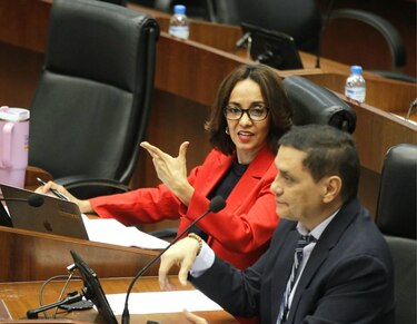 Más trabajo en comisiones, pero grandes deudas por saldar: la recta final de la Asamblea