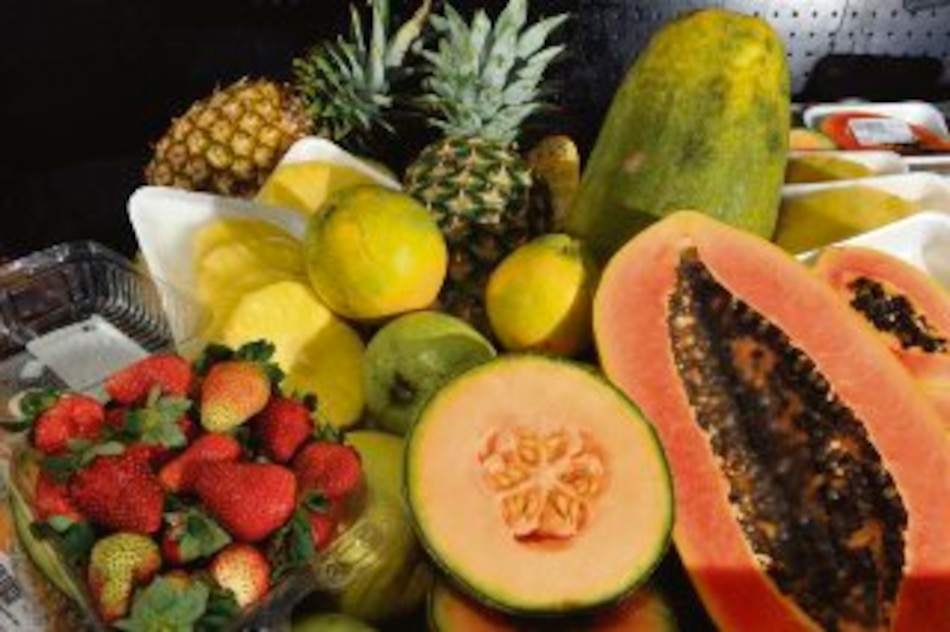 Una ley con alma y propósito