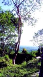 Pinar del Río: ecoturismo en Cuba