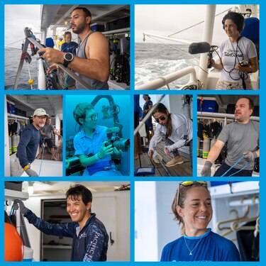 Una expedición a las profundidades del mar