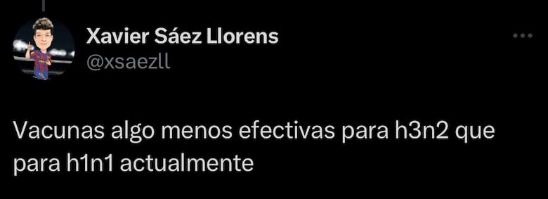 ¿Qué cepas de influenza afectan a Panamá?