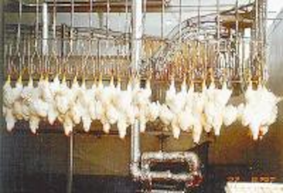 Baja el consumo de productos avícolas