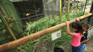 Parque municipal Summit cerrará el 16 de agosto