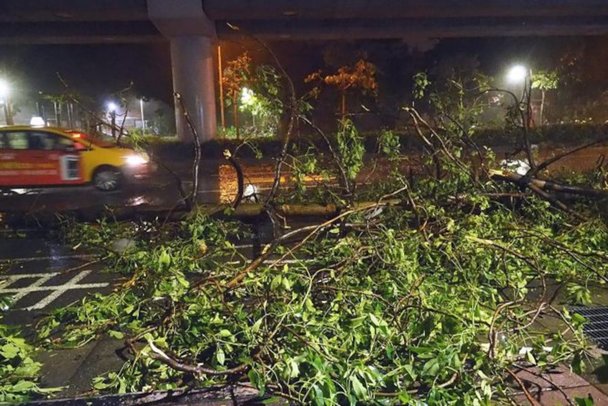 El tifón 'Dujuan' toca tierra en Taiwan