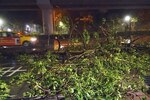 El tifón 'Dujuan' toca tierra en Taiwan