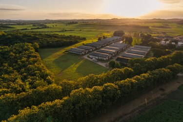 Varela Hermanos se convierte en el primer ingenio de Panamá en certificar la producción sostenible de su caña de azúcar