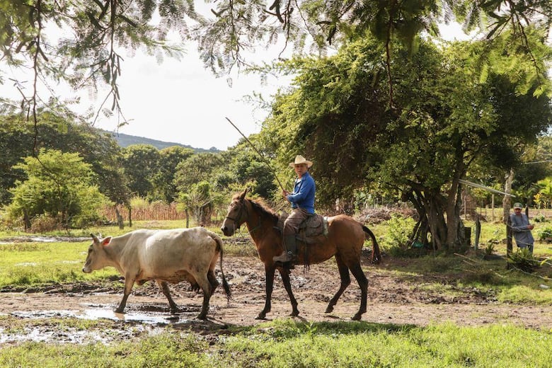 Por qué Nicaragua declaró propiedad estatal todo el territorio a menos de 15 km de sus fronteras